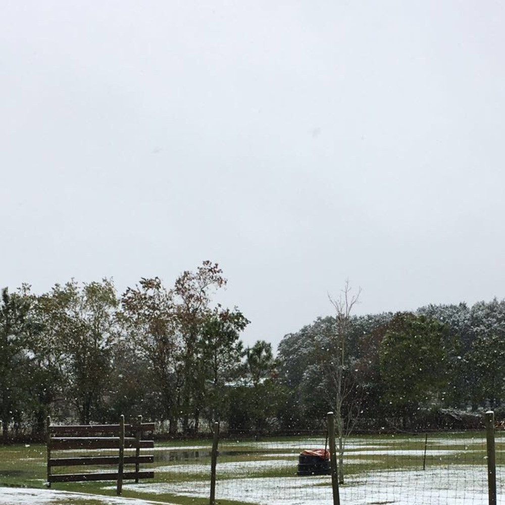 Meet your Posher, Blair